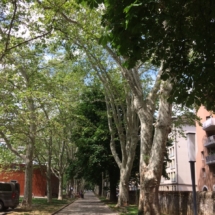 allée carouge